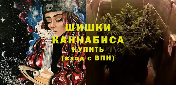 сатива Канск