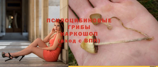 тгк Тутаев