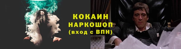 трава Тында